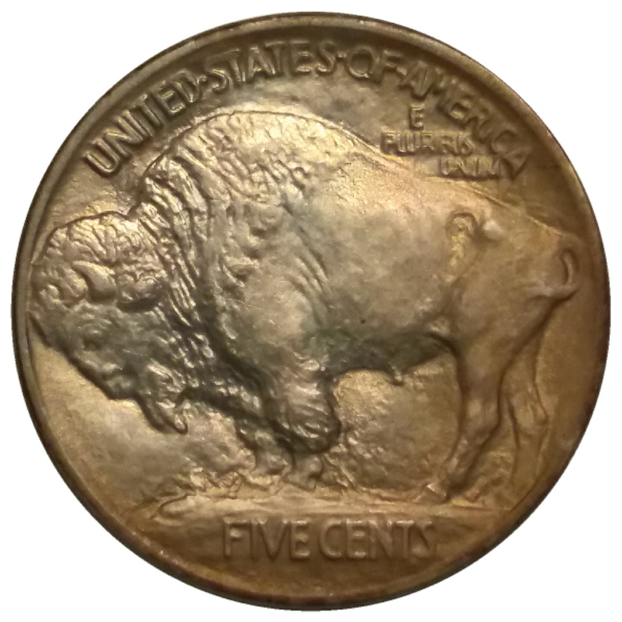 1913-5c-T1-Buffalo-Nickel-#8